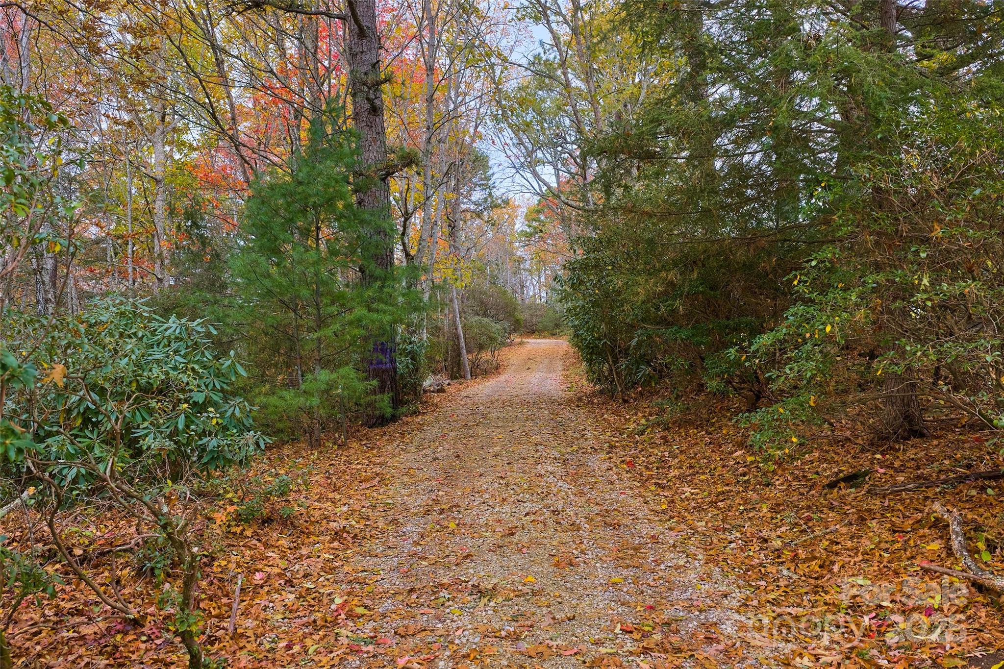 9999 Flat Top Mountain Road Fairview, NC 28730 - Photo 11 of 18 a view of a yard with plants and trees