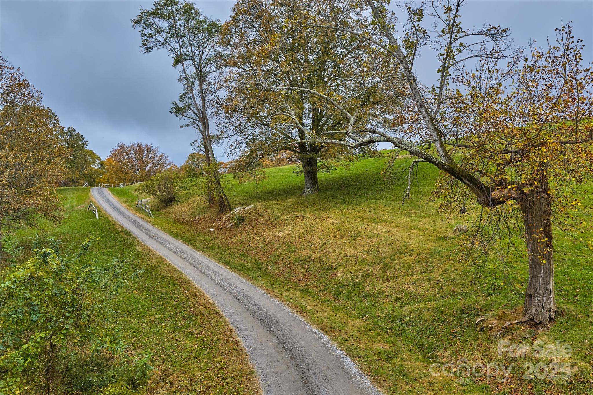 9999 Flat Top Mountain Road Fairview, NC 28730 - Photo 13 of 18 a view of a yard with wooden fence