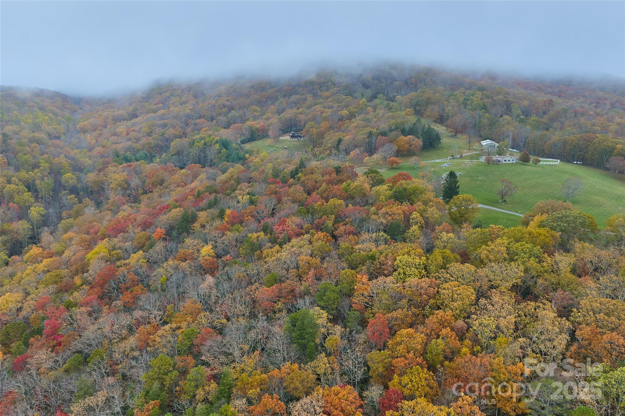 9999 Flat Top Mountain Road Fairview, NC 28730 - Photo 4 of 18 an aerial view of residential houses with outdoor space and trees