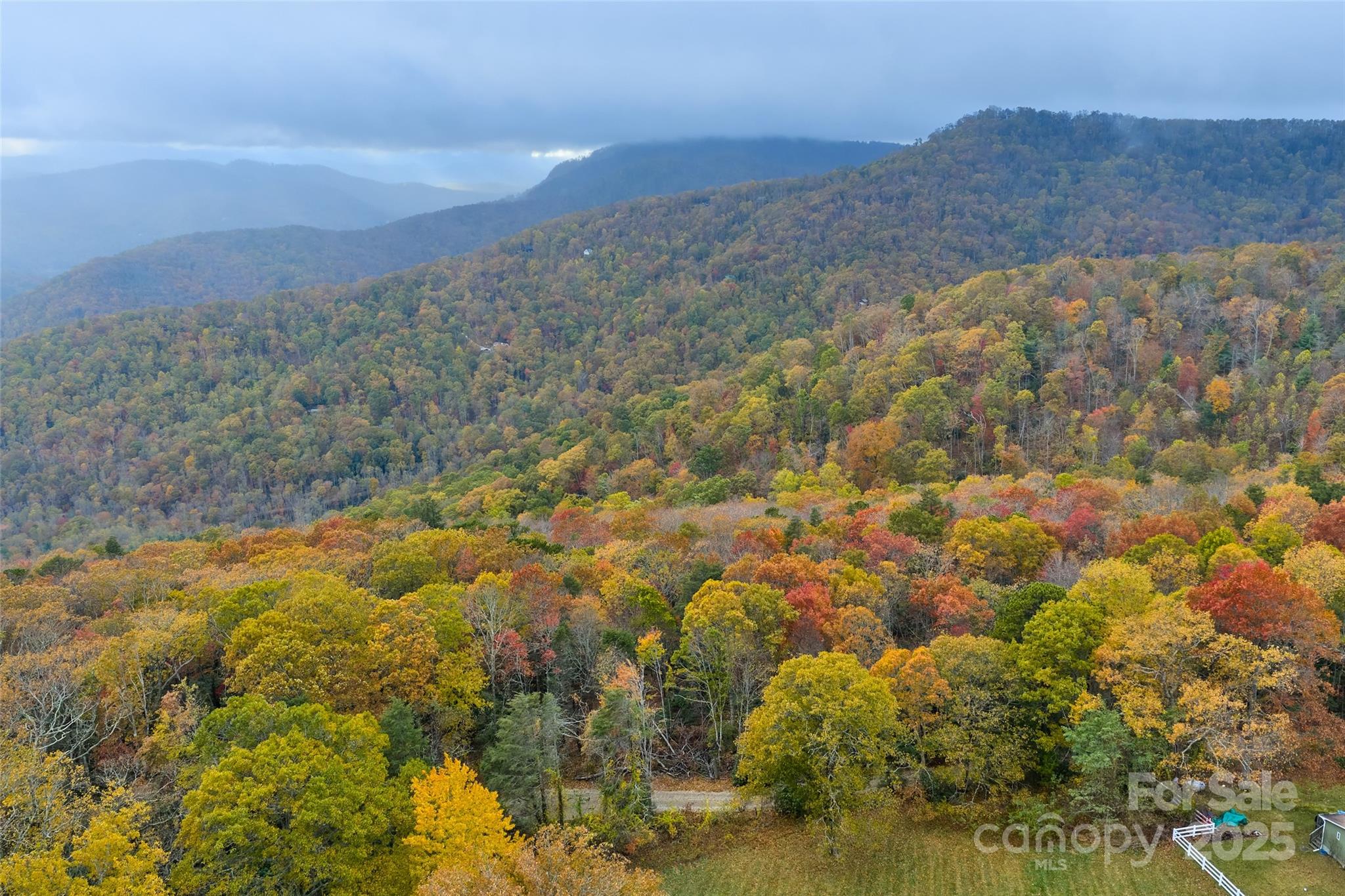 9999 Flat Top Mountain Road Fairview, NC 28730 - Photo 5 of 18 a view of a yard