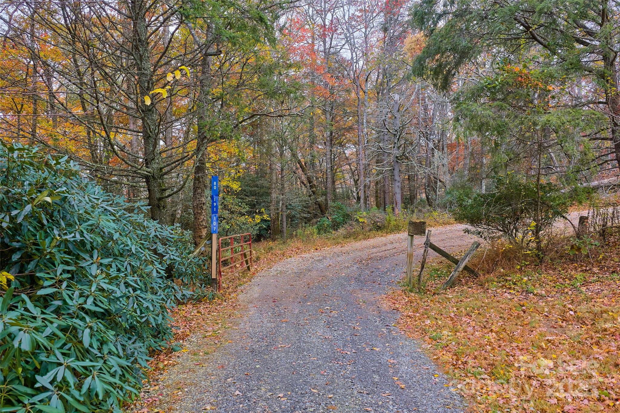 9999 Flat Top Mountain Road Fairview, NC 28730 - Photo 8 of 18 a view of a backyard with couple of plants and white fence