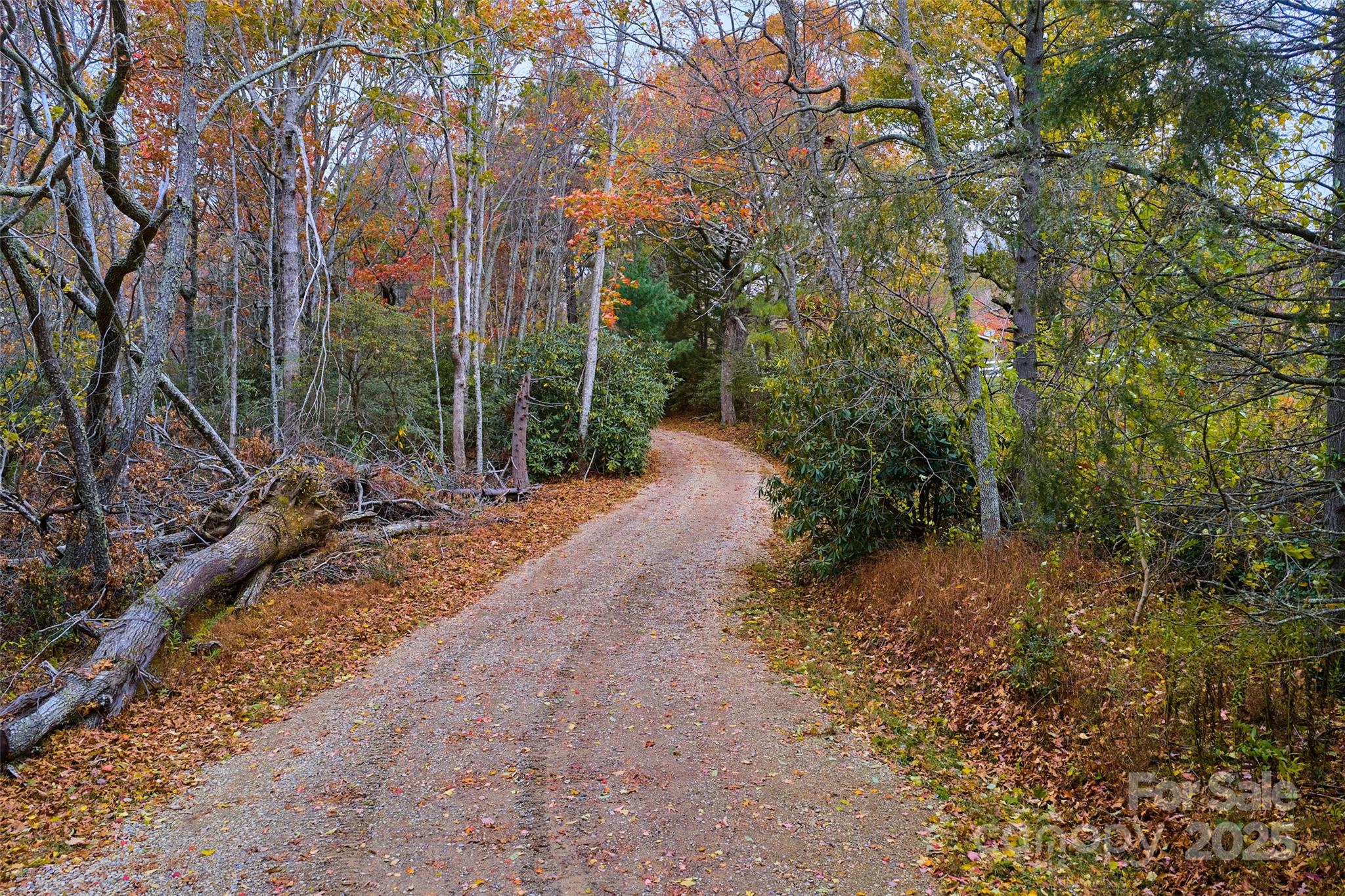 9999 Flat Top Mountain Road Fairview, NC 28730 - Photo 9 of 18 a view of a pathway with a yard
