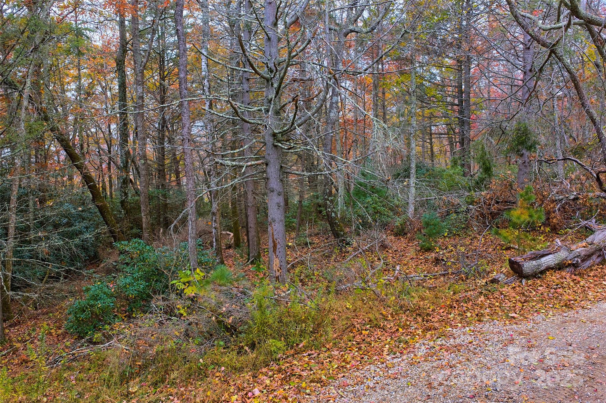 9999 Flat Top Mountain Road Fairview, NC 28730 - Photo 10 of 18 a backyard of a house with lots of green space