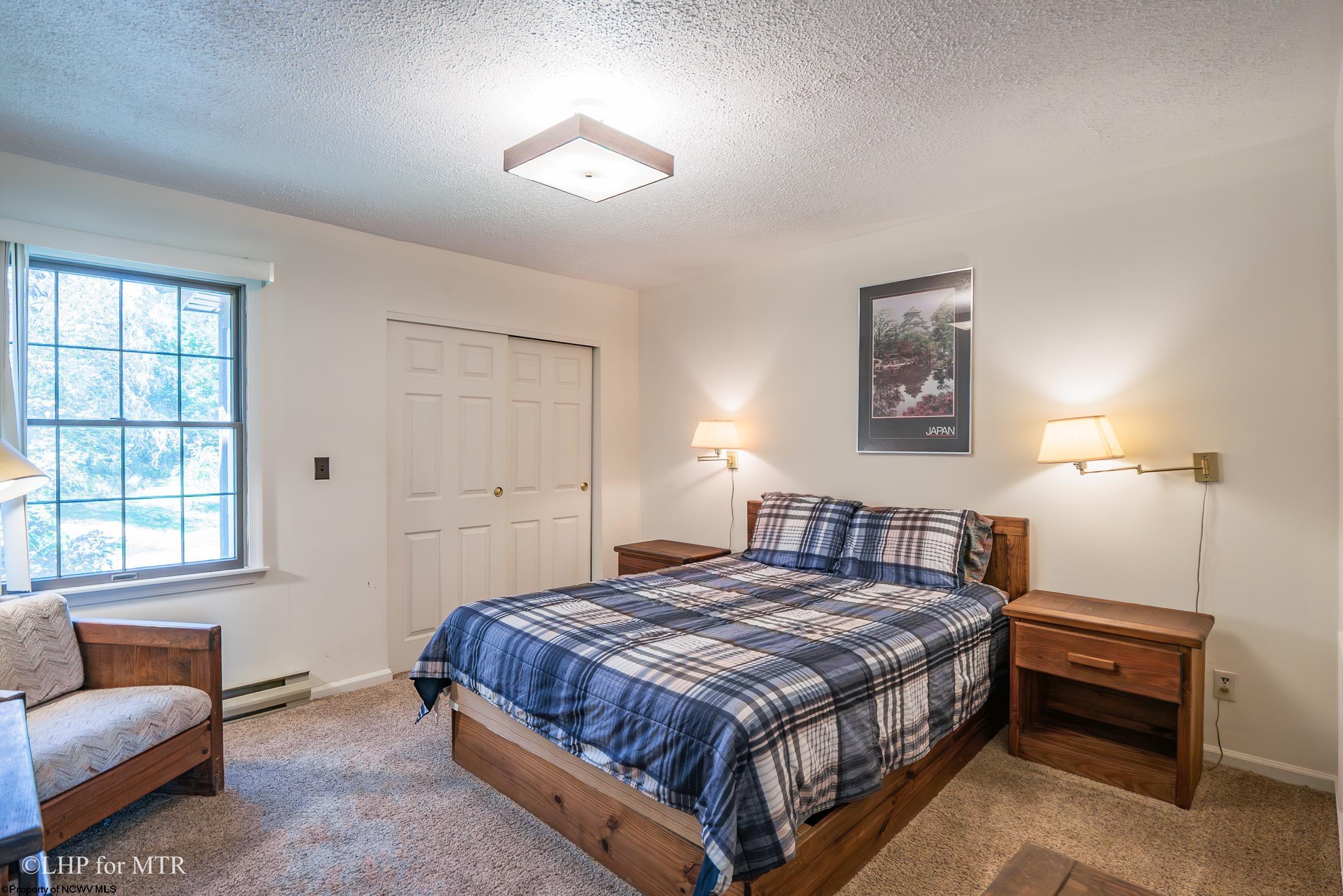 164 Talheim Road Davis, WV 26260 - Photo 19 of 44 Gallery Image 19