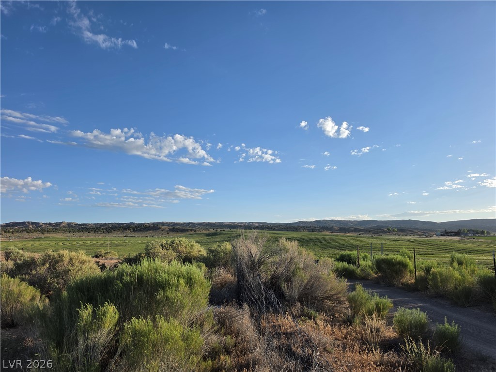 2930 Frehner Ranch Road Pioche, NV 89043 - Photo 28 of 32 Rolling green fields meet a dirt track under an expansive, clear sky, offering a tranquil rural panorama.