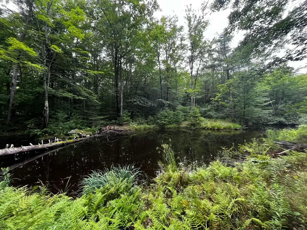 157 Desert Pond Road Mount Vernon, ME 04352 - Photo 72 of 80 tempImageCgXET0