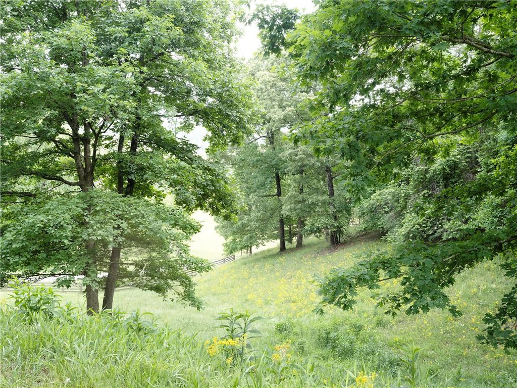 619 Hamp Mill Road Dahlonega, GA 30533 - Photo 112 of 118