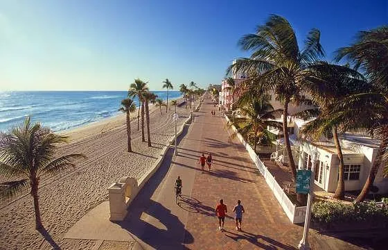 a view of an ocean with palm trees