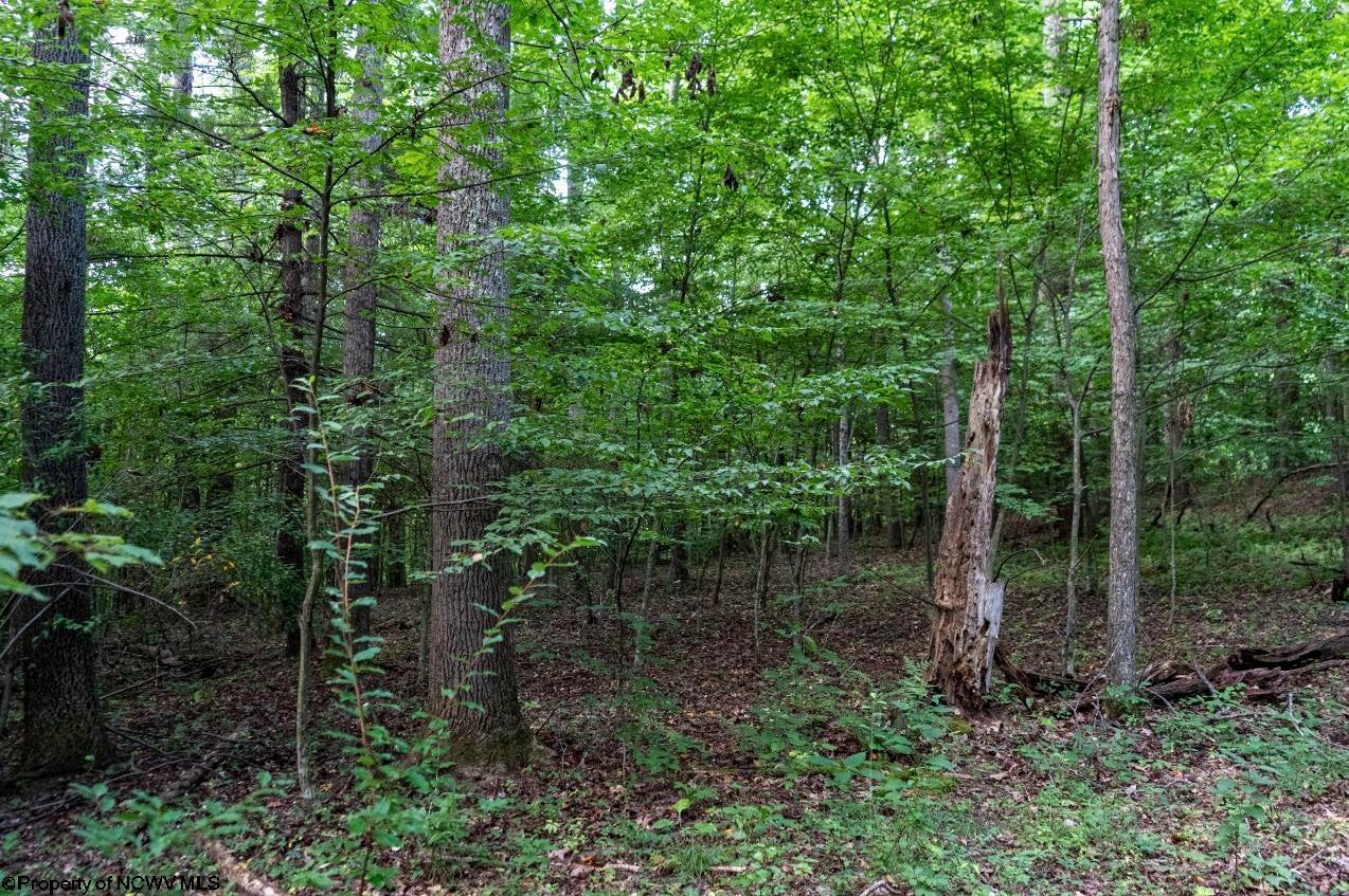 Tbd Highland Bridge Road Clarksburg, WV 26301 - Photo 13 of 21 Gallery Image 13