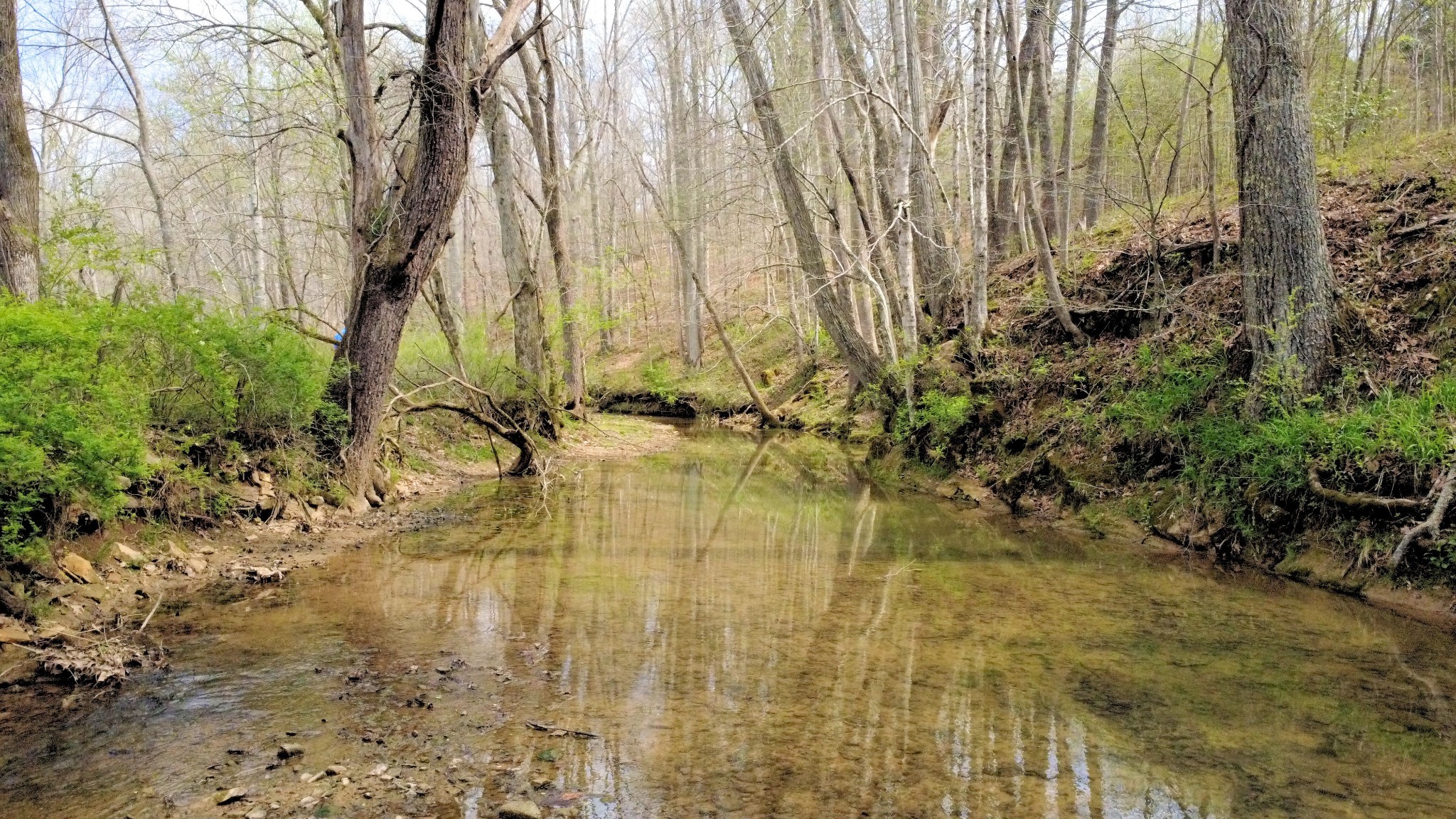 293 East Piney Road Dickson, TN 37055 - Photo 1 of 61