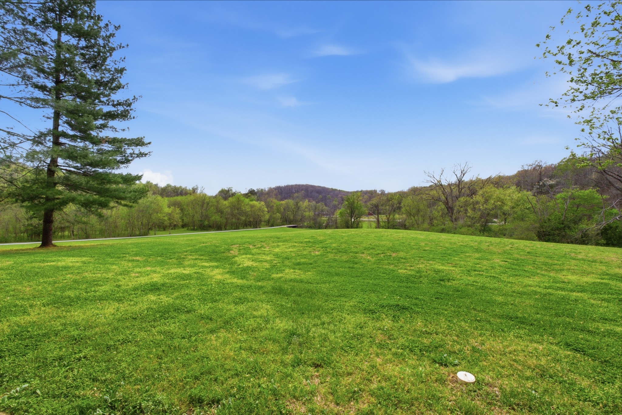 293 East Piney Road Dickson, TN 37055 - Photo 4 of 61