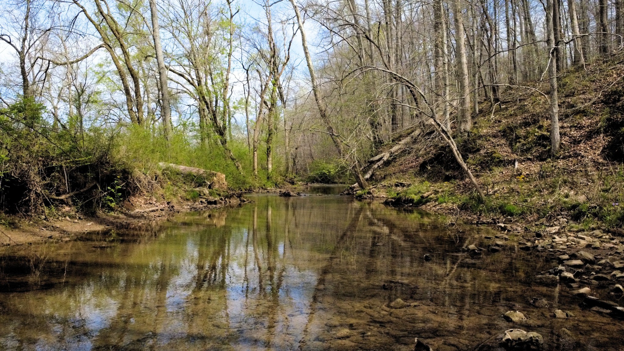 293 East Piney Road Dickson, TN 37055 - Photo 5 of 61