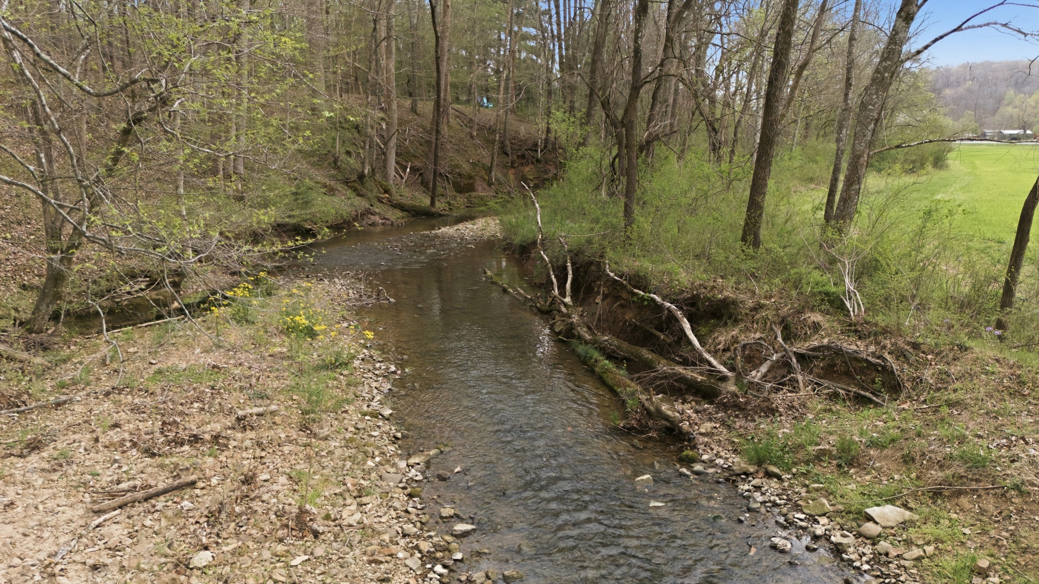 293 East Piney Road Dickson, TN 37055 - Photo 56 of 61