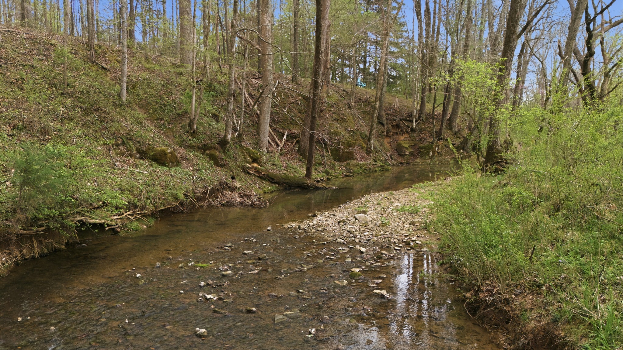 293 East Piney Road Dickson, TN 37055 - Photo 60 of 61