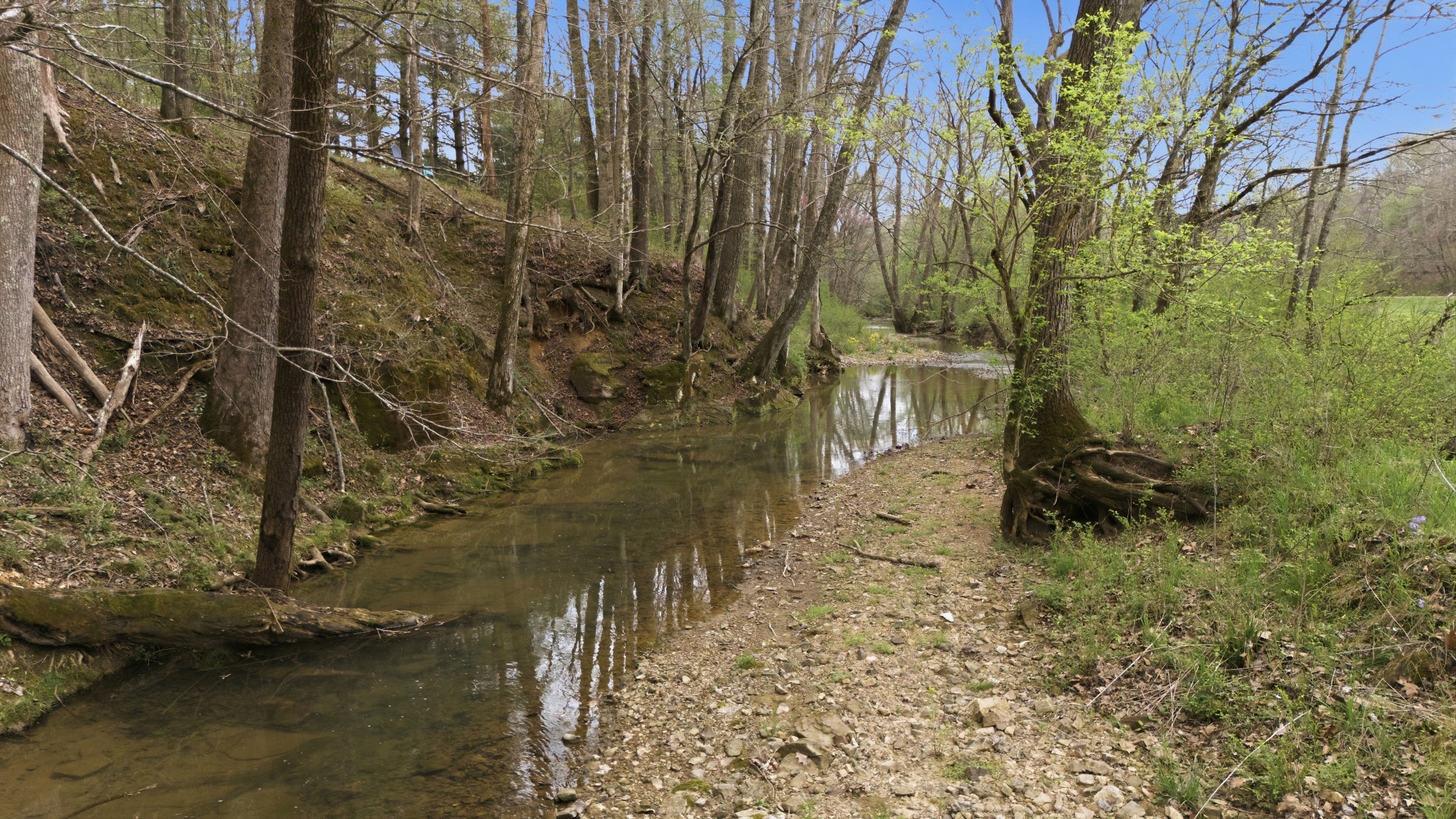 293 East Piney Road Dickson, TN 37055 - Photo 9 of 61