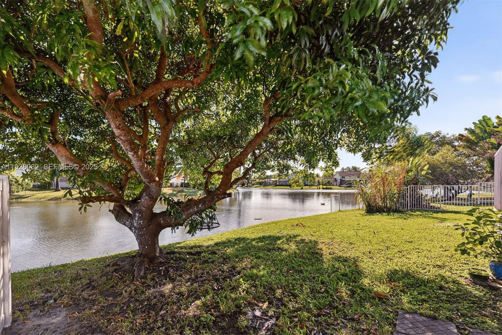 720 Rock Hill Avenue Davie, FL 33325 - Photo 22 of 27 a view of a lake with a large trees