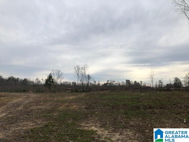 Pine Mountain Road, Unit 2 Springville, AL 35146 - Photo 14 of 16