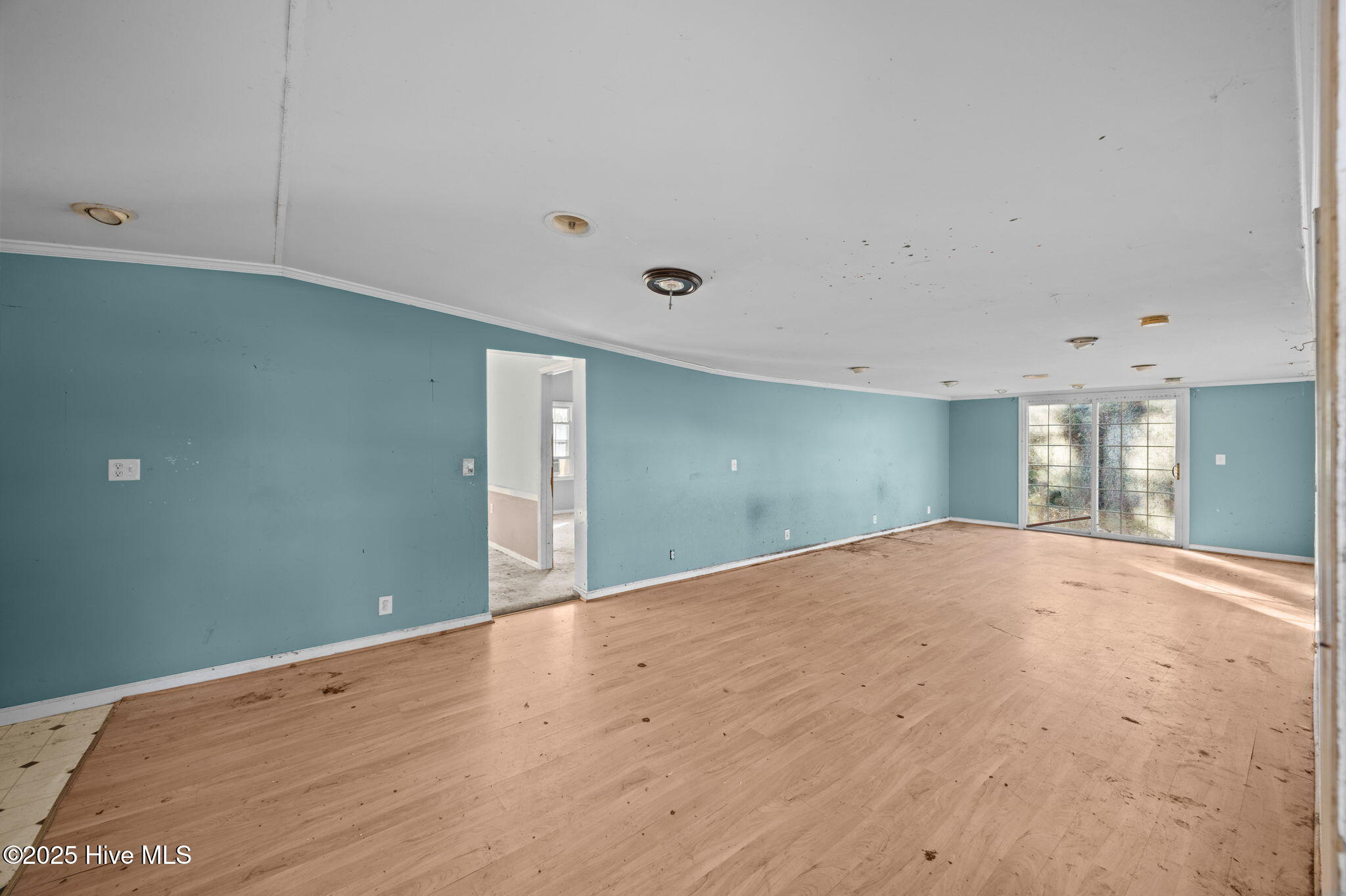 220 Great Neck Road Havelock, NC 28532 - Photo 9 of 33 6-web-or-mls-0C0A4289