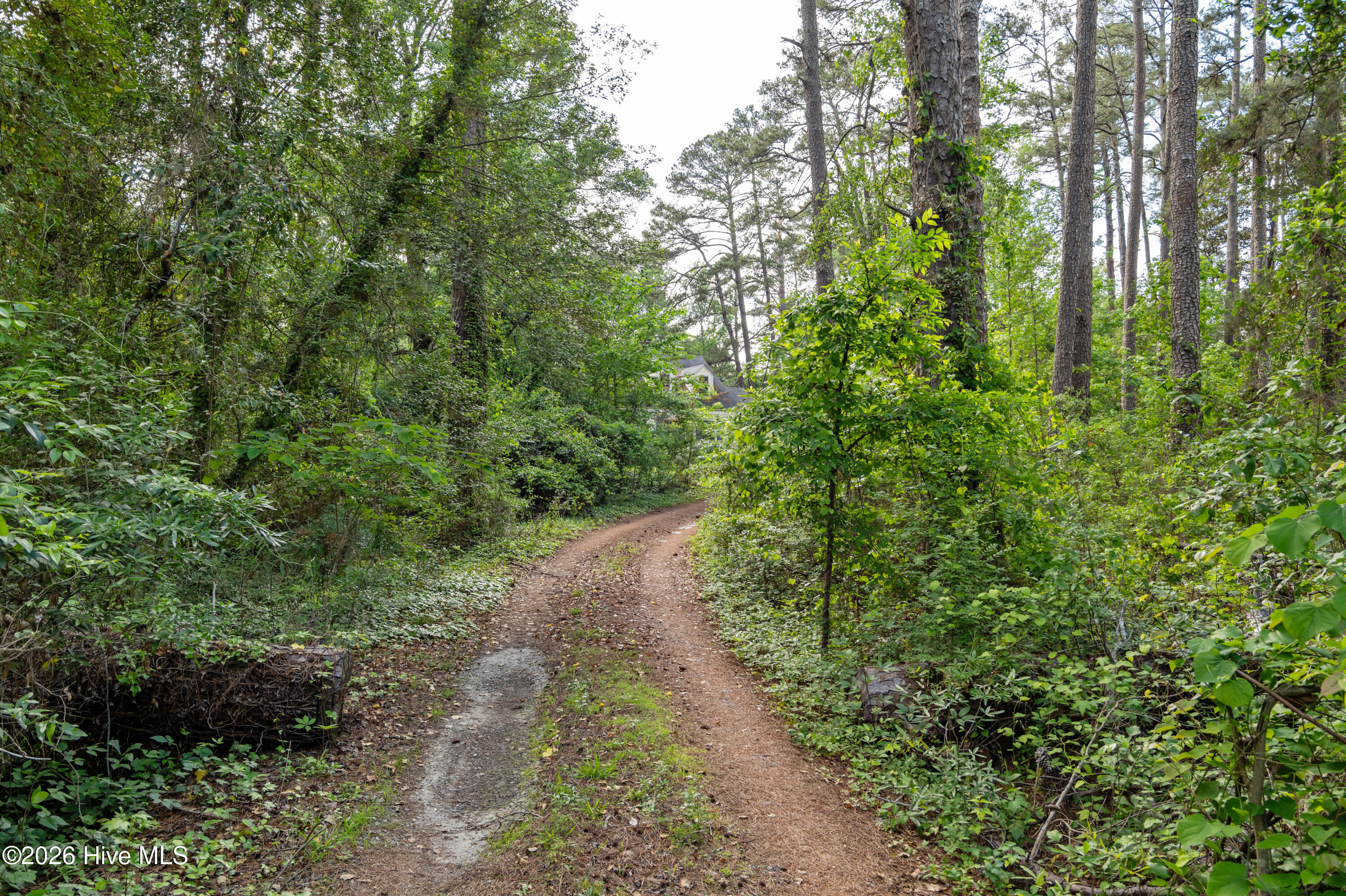 1288 Wrightsboro Road Thomson, GA 30824 - Photo 2 of 26 02-P2078011-2
