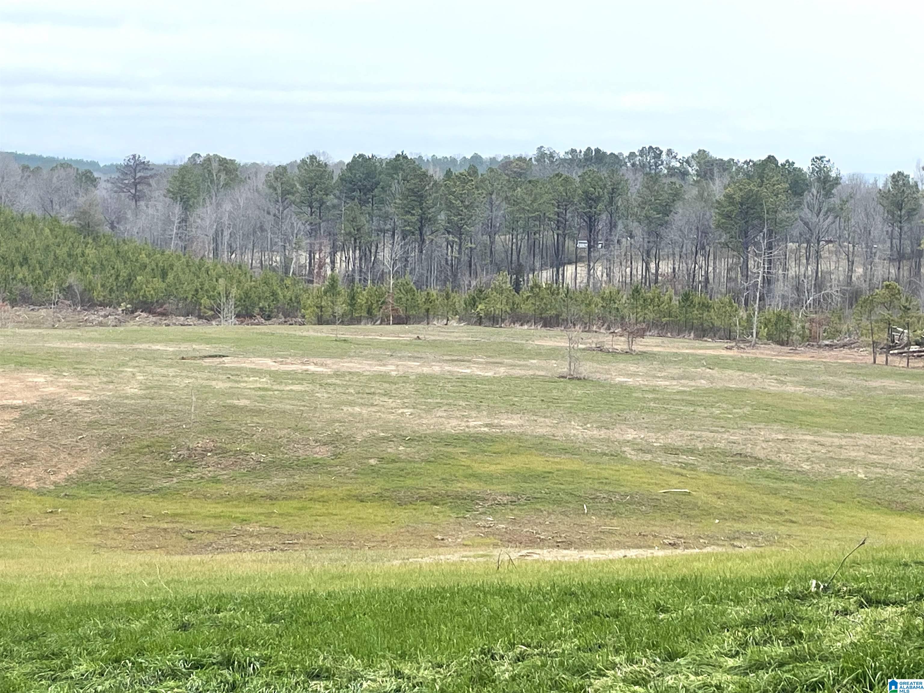 7 Chelsea Road, Unit 2 Columbiana, AL 35051 - Photo 2 of 12