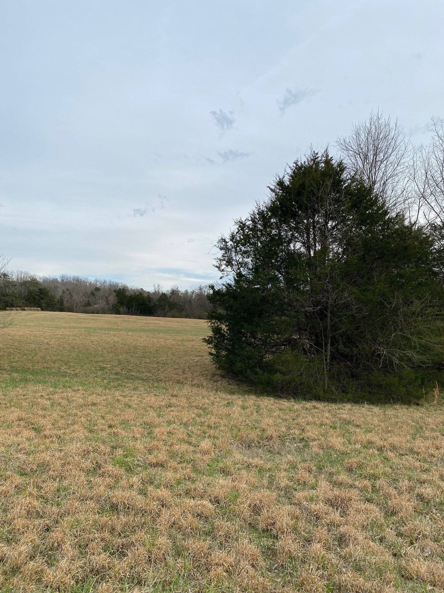 0 Mt Lebanon Road Decaturville, TN 38329 - Photo 3 of 12 Gallery Image 3