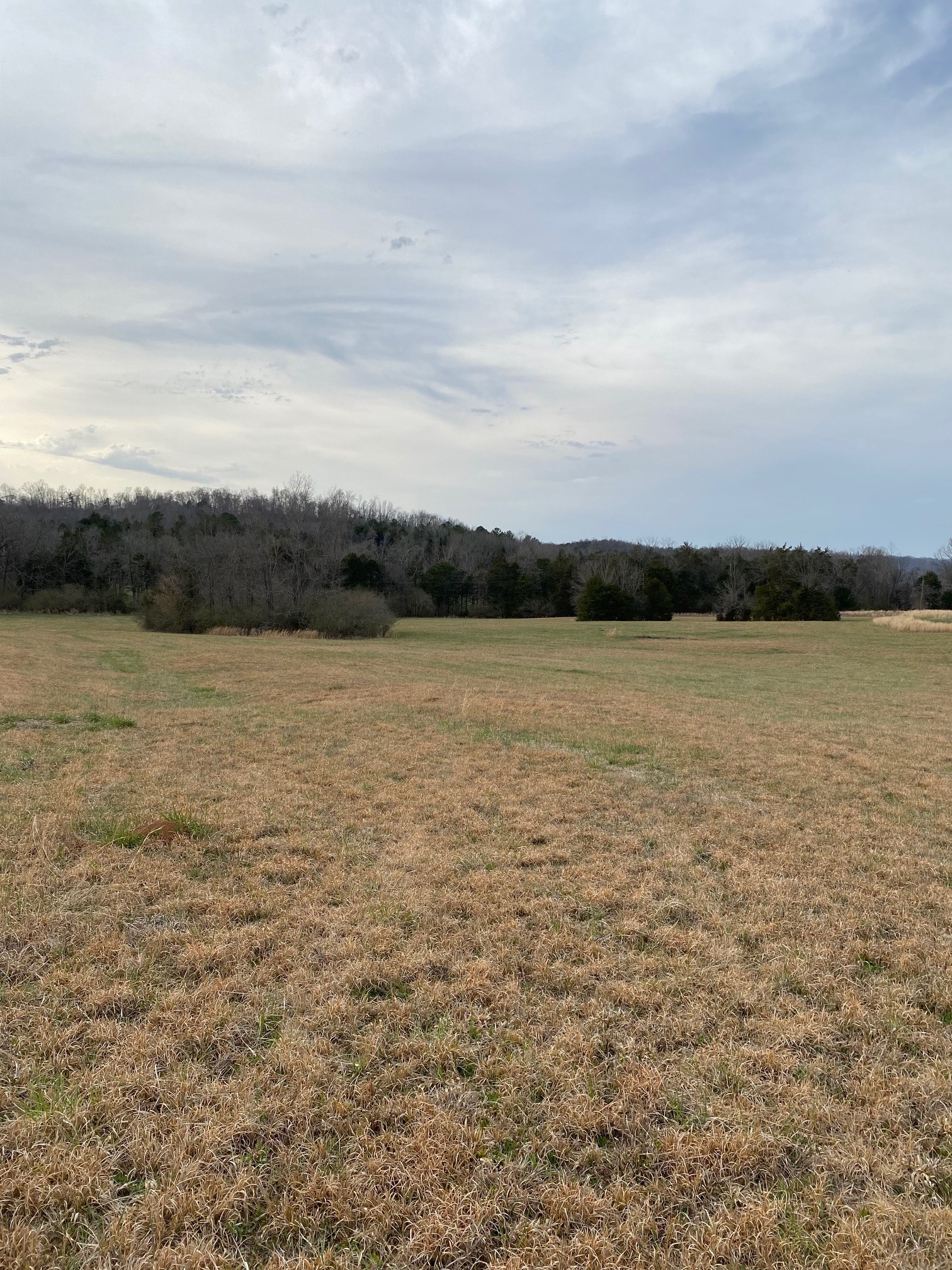 0 Mt Lebanon Road Decaturville, TN 38329 - Photo 8 of 12 Gallery Image 8