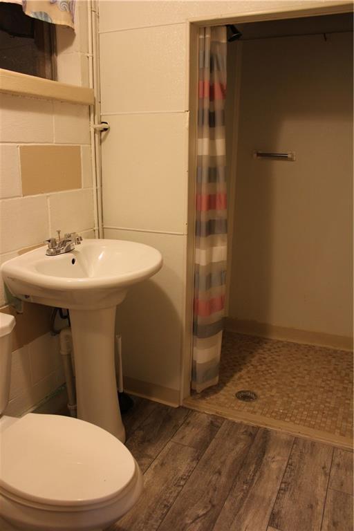 928 Old Ridge Road Avella, PA 15312 - Photo 36 of 49 a bathroom with a sink a toilet and shower