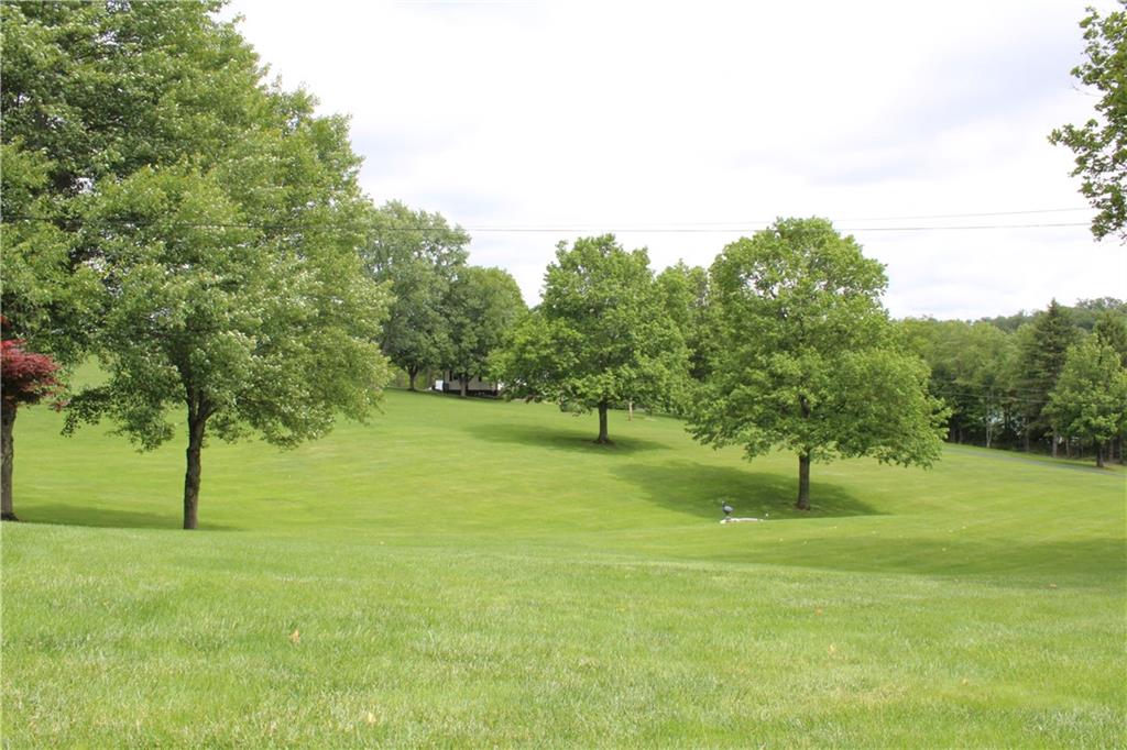 928 Old Ridge Road Avella, PA 15312 - Photo 48 of 49 a backyard of a house with a lots of trees