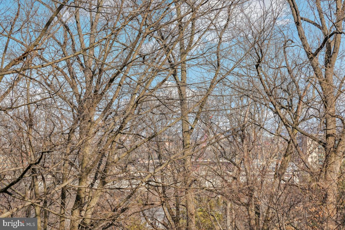 5903 Mt Eagle Drive, Unit 314 Alexandria, VA 22303 - Photo 10 of 44 a backyard of a house with lots of green space