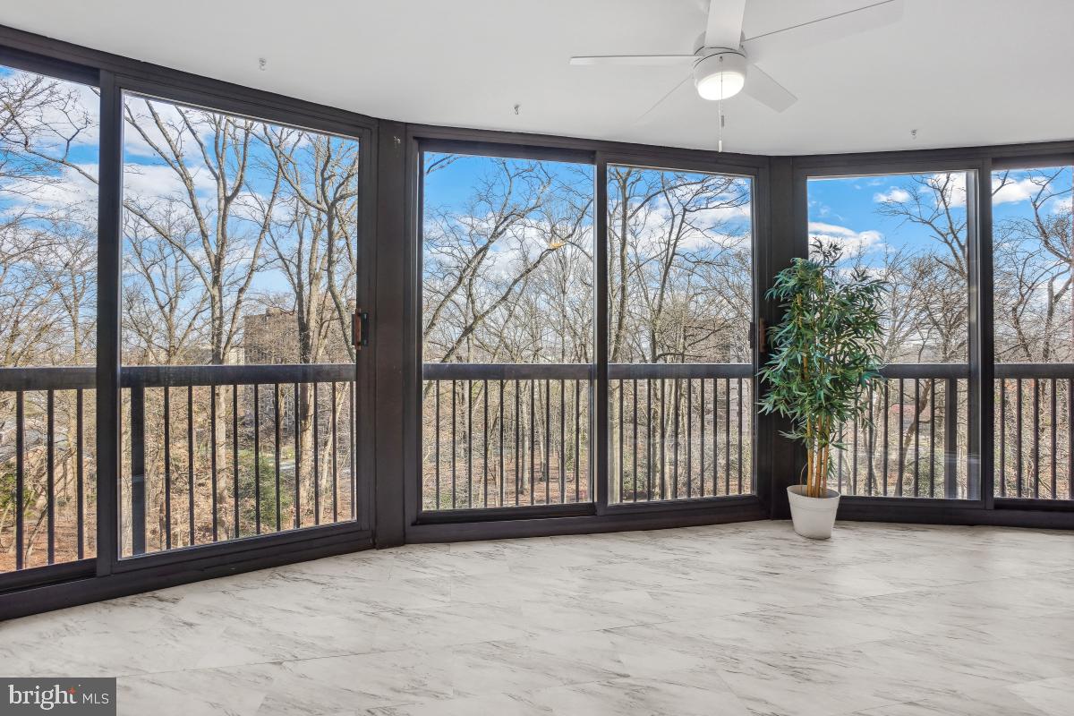 5903 Mt Eagle Drive, Unit 314 Alexandria, VA 22303 - Photo 8 of 44 a view of a large window with an outdoor space