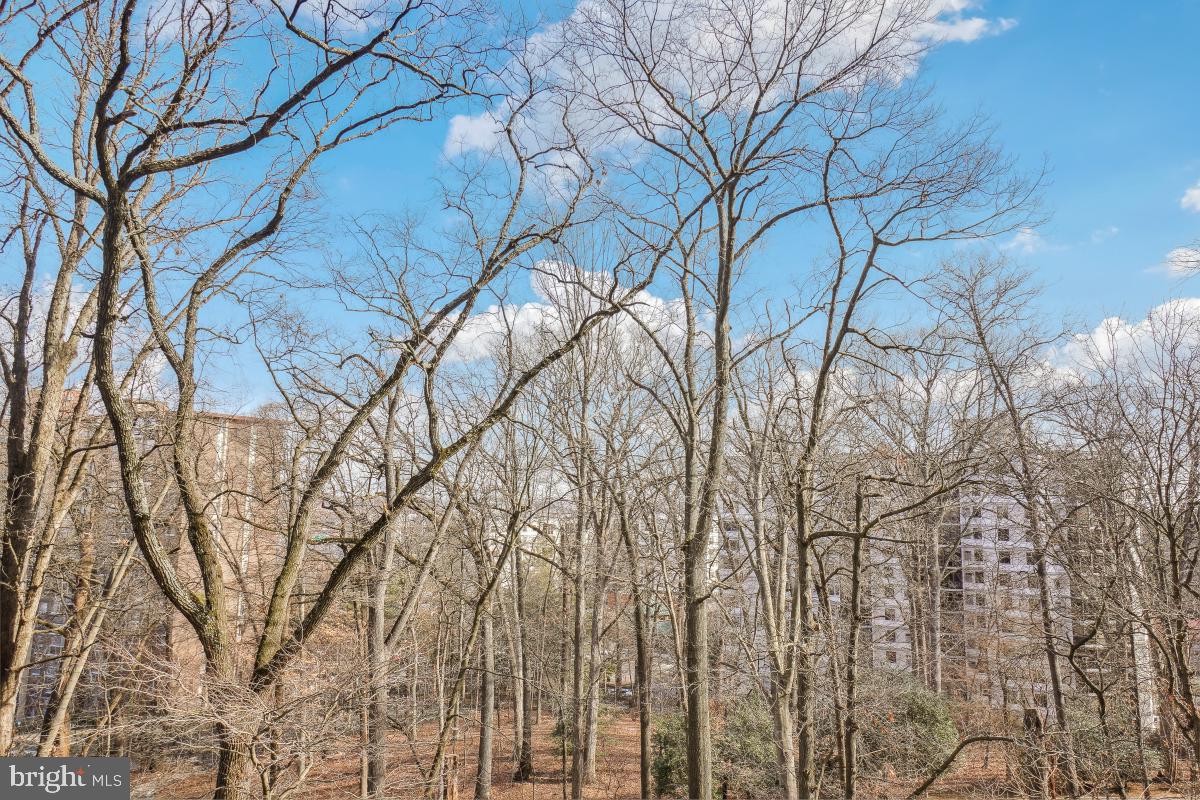 5903 Mt Eagle Drive, Unit 314 Alexandria, VA 22303 - Photo 9 of 44 a backyard of a house with lots of green space