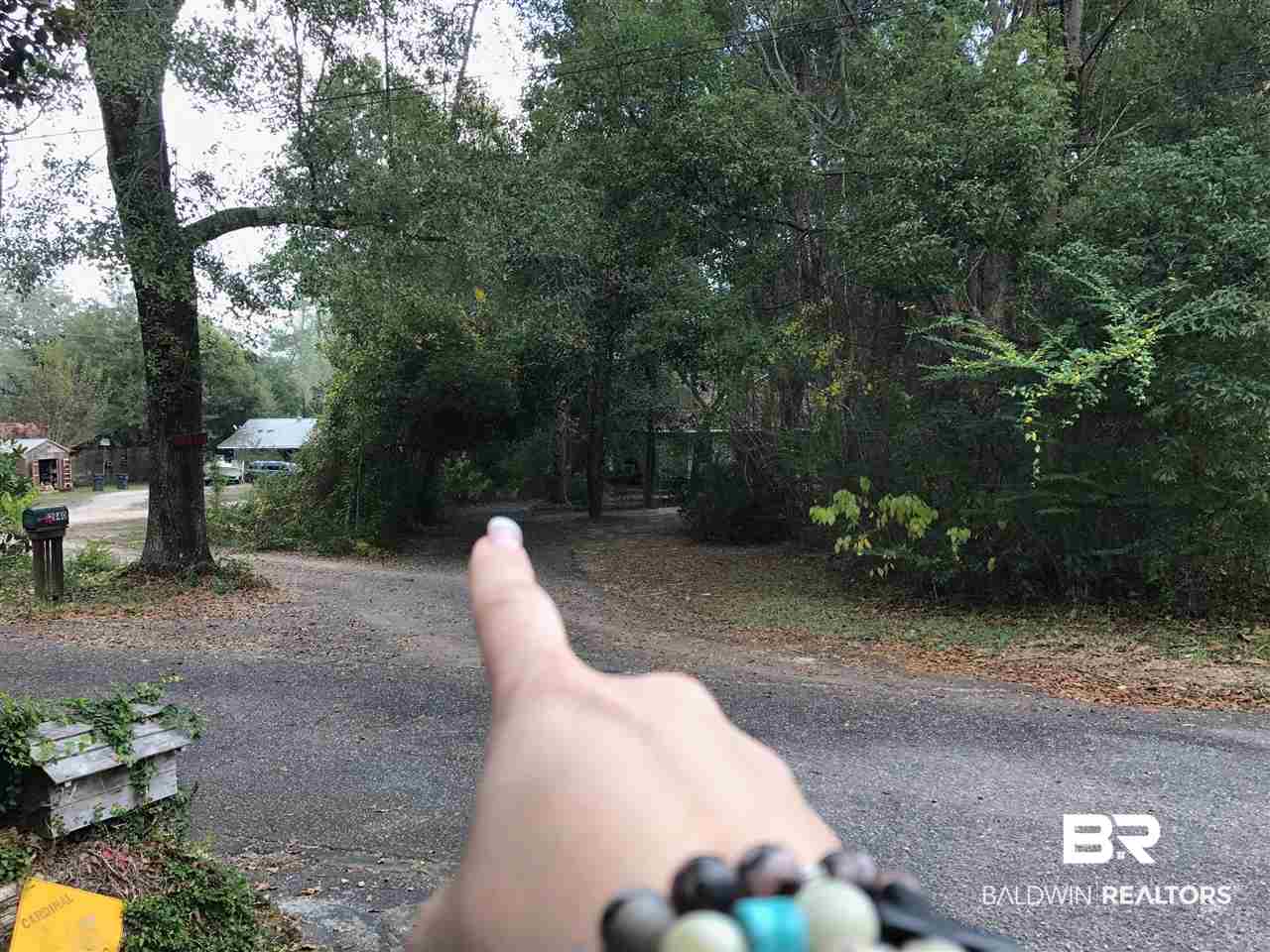 12841 Dixie Road Fairhope, AL 36532 - Photo 12 of 19 When brush is cleared, you can see the River