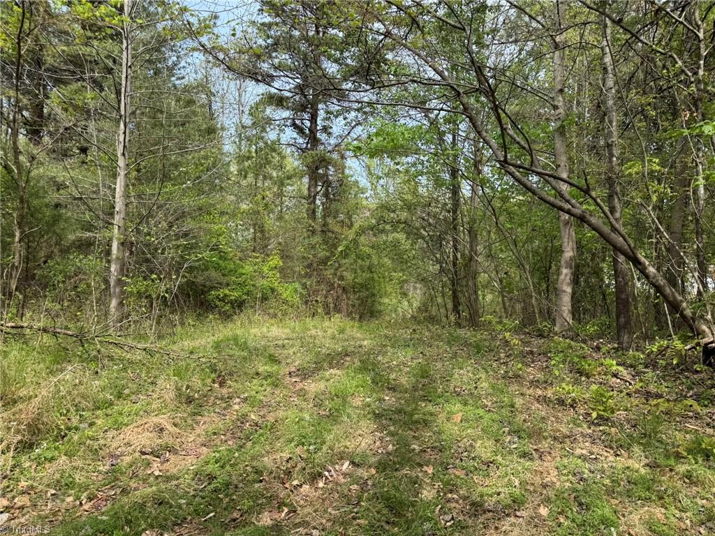 6988 Salem Chapel Road Walnut Cove, NC 27052 - Photo 8 of 38