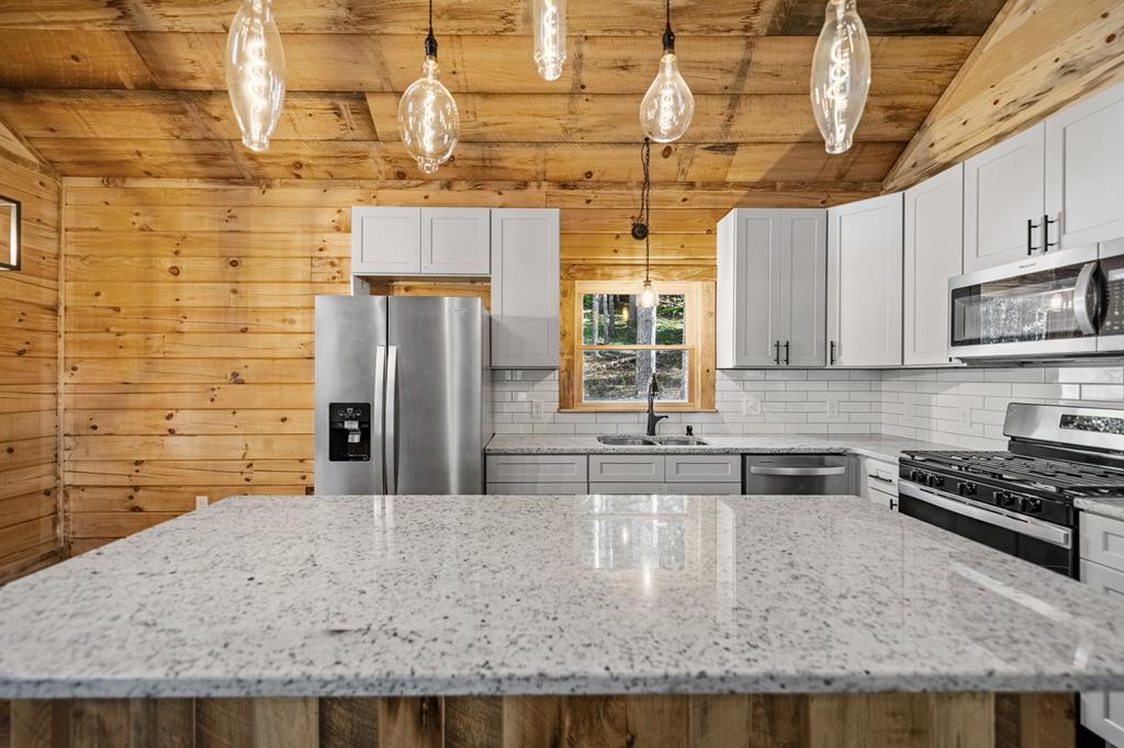 110 Pigeon Creek Road Blue Ridge, GA 30513 - Photo 6 of 64 Gallery Image 6