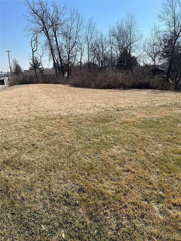 7418 Mexico Road, Unit 100 St. Peters, MO 63376 - Photo 2 of 2
