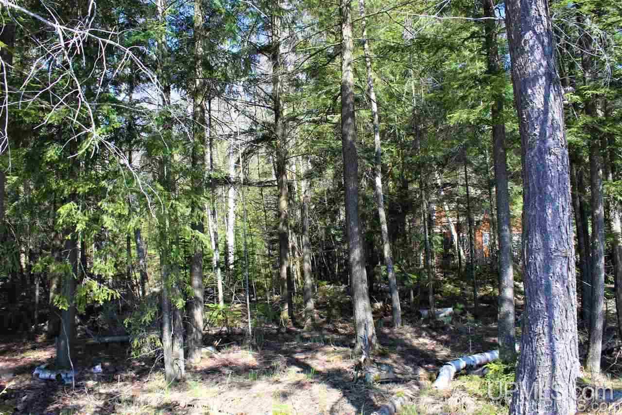 Tbd Corner Lake Road Wetmore, MI 49895 - Photo 9 of 15 Gallery Image 9