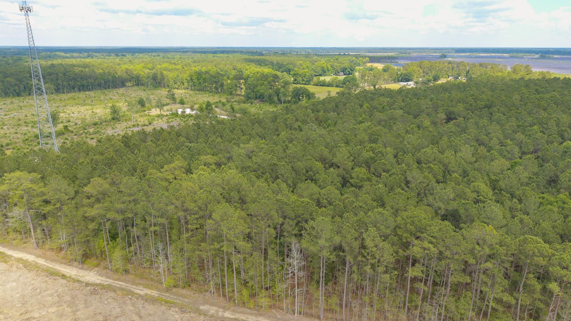 6222 Saints Delight Road, Unit LOT 8 Georgetown, SC 29440 - Photo 24 of 26