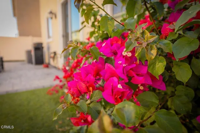 $794,995 | 354 Autumn Path Lane, Santa Paula, CA 93060