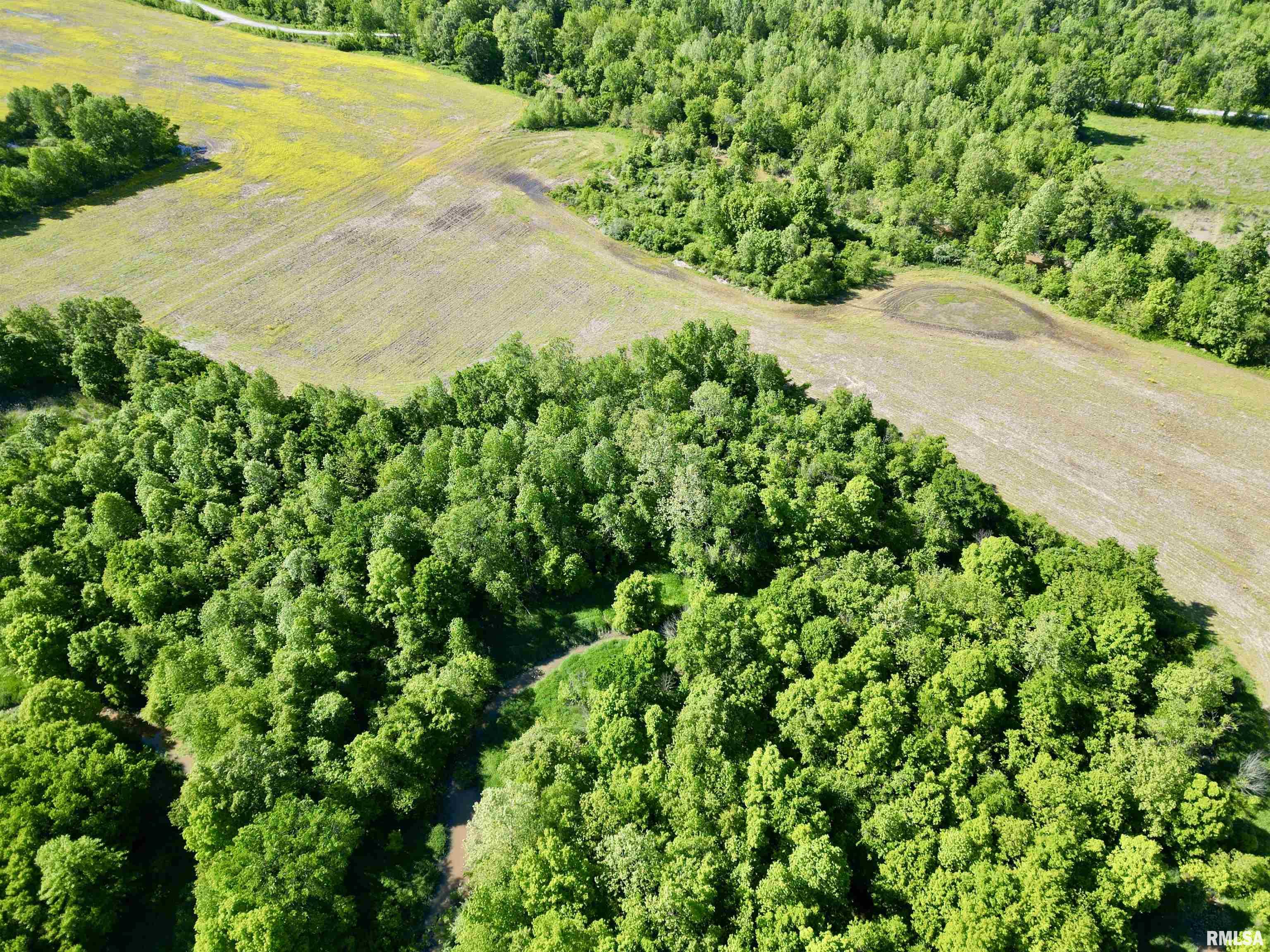 0 Netty Green Road Galatia, IL 62935 - Photo 11 of 23