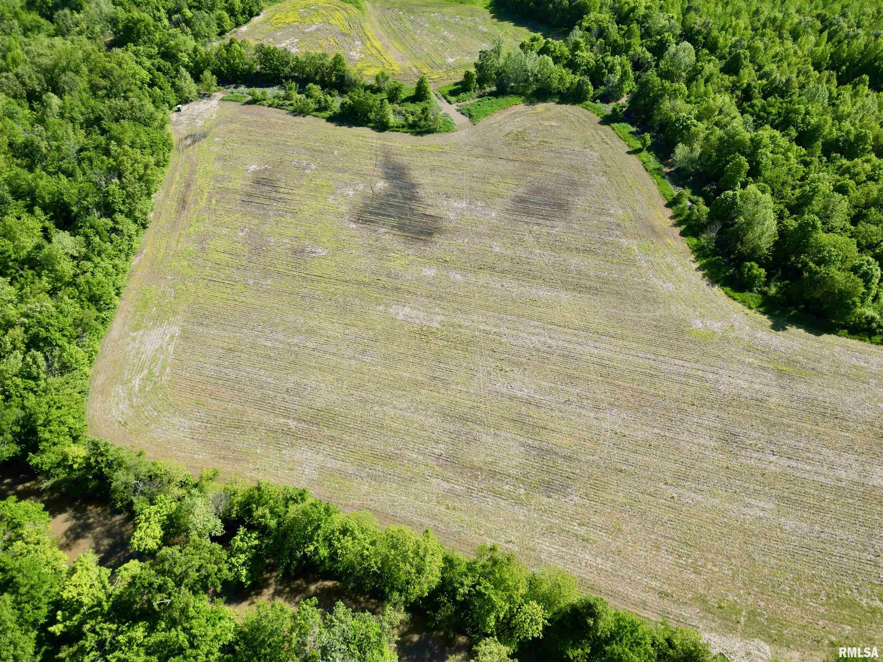 0 Netty Green Road Galatia, IL 62935 - Photo 12 of 23