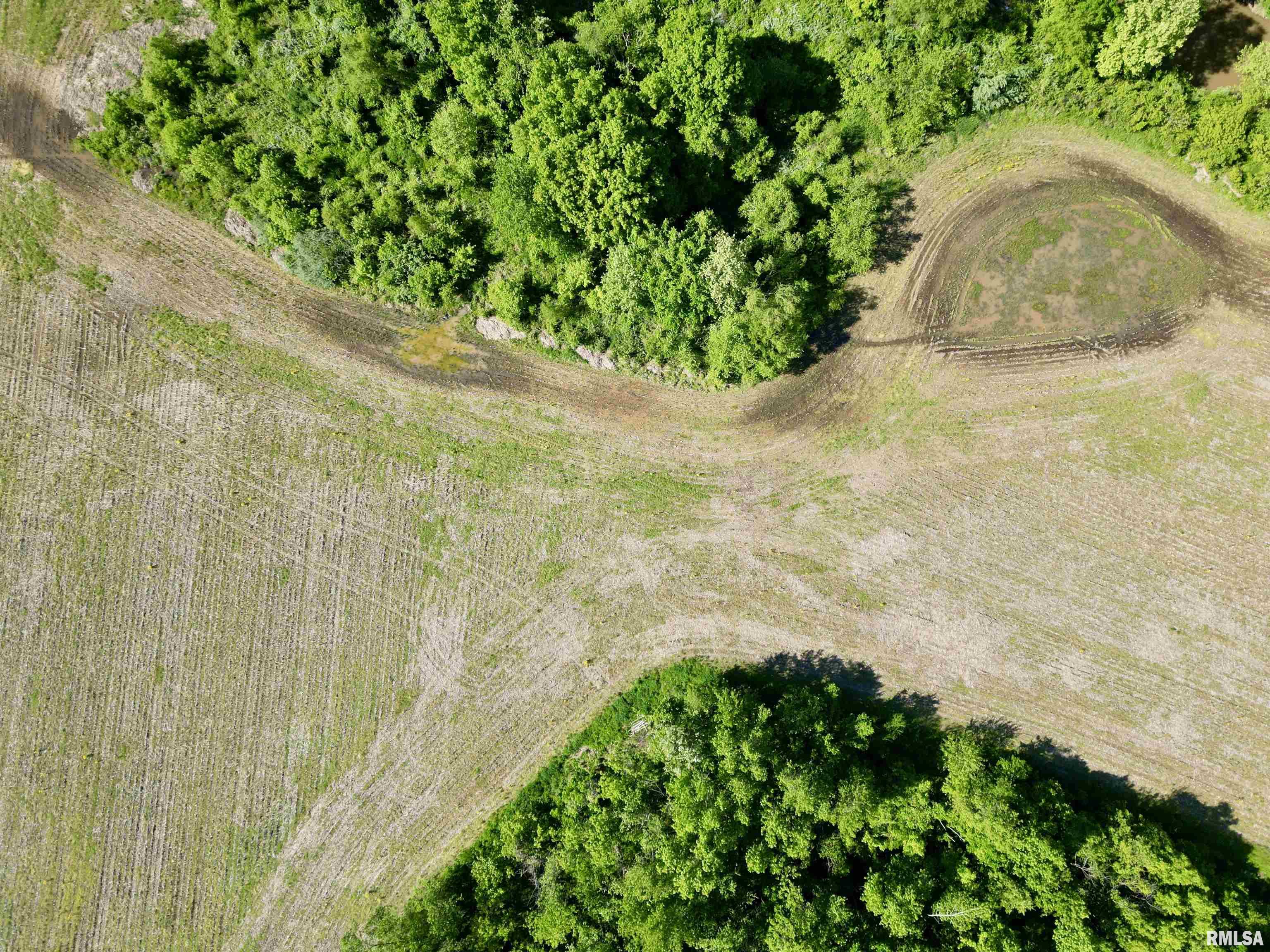 0 Netty Green Road Galatia, IL 62935 - Photo 13 of 23