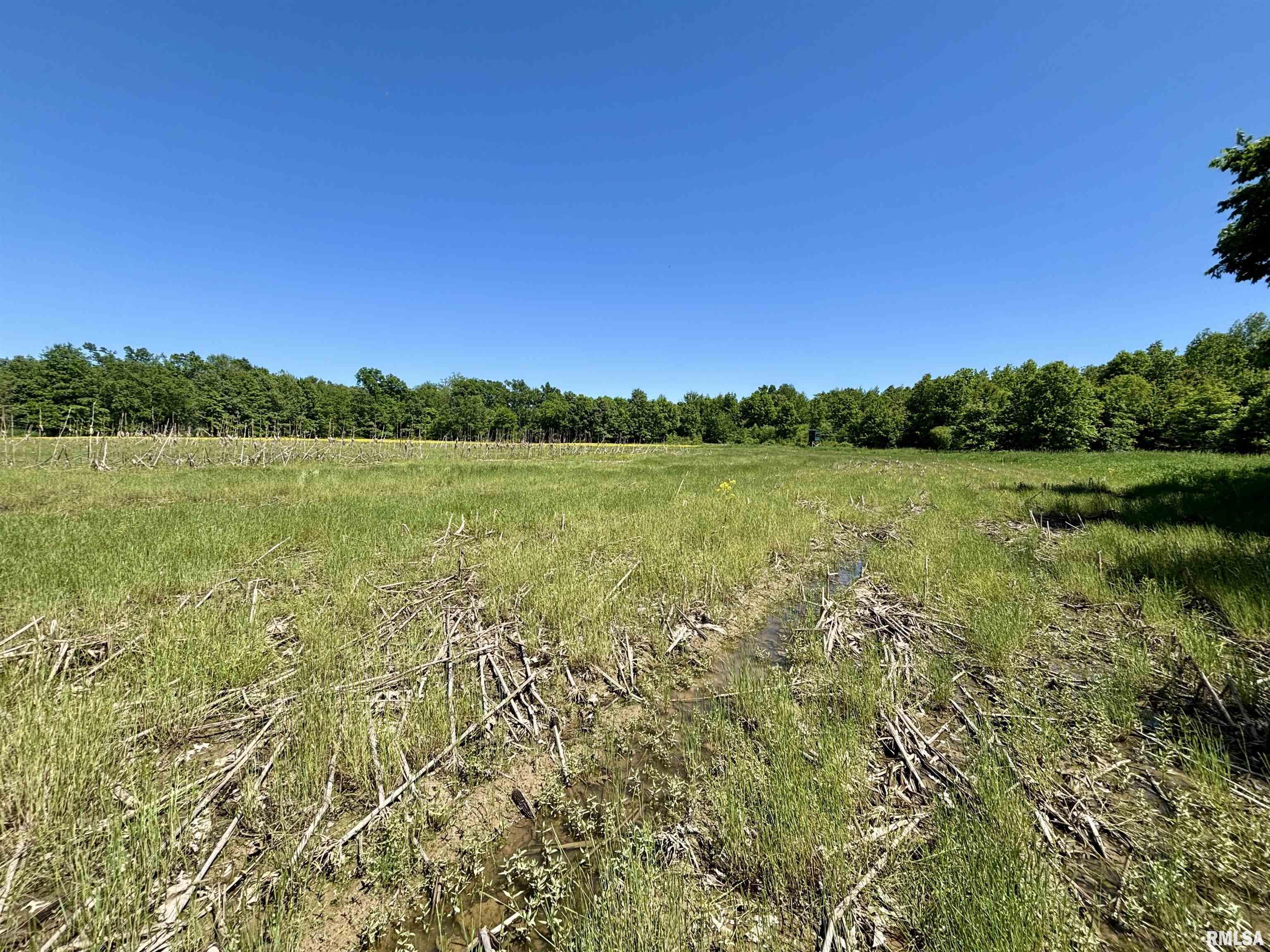 0 Netty Green Road Galatia, IL 62935 - Photo 19 of 23