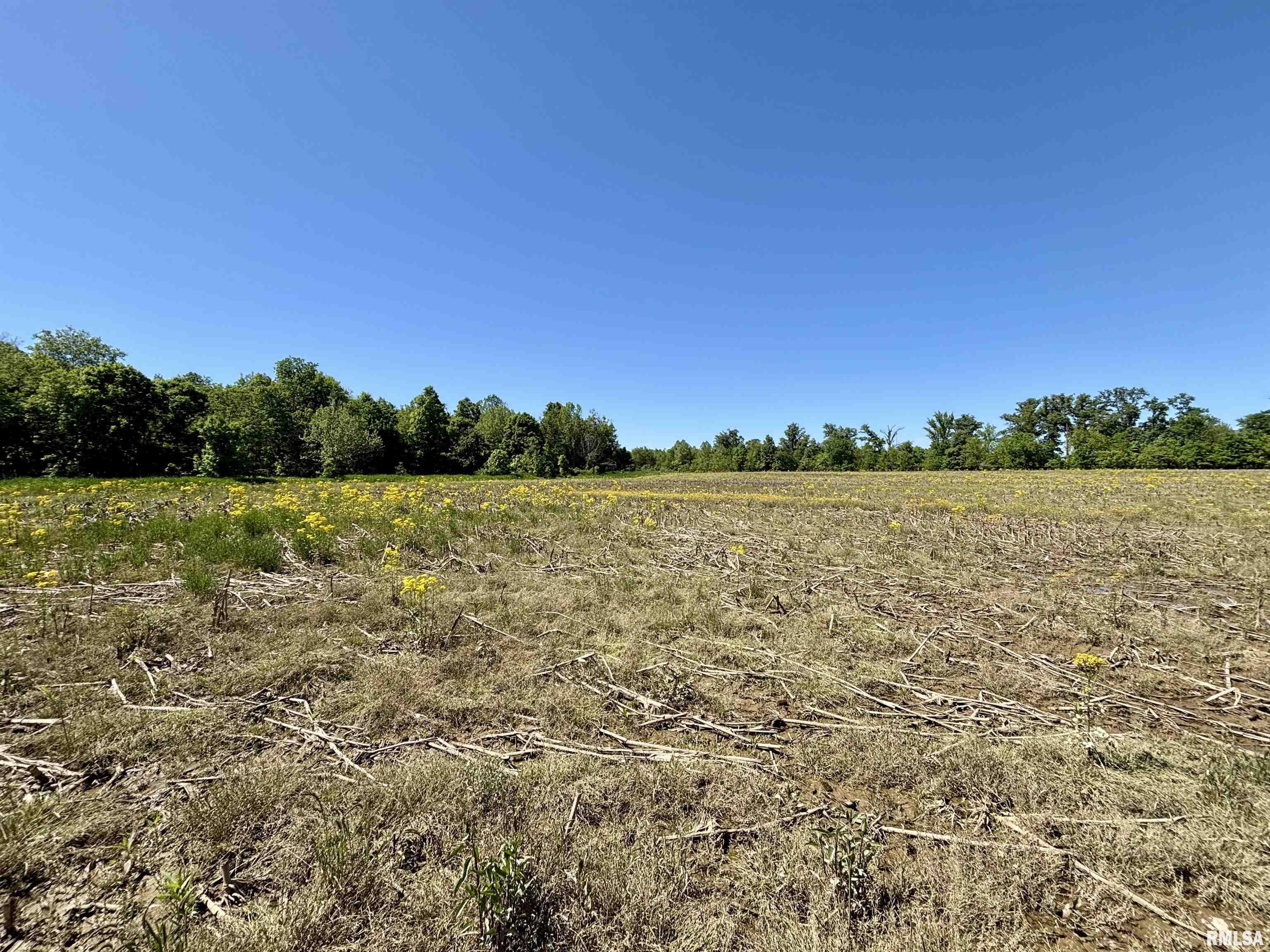 0 Netty Green Road Galatia, IL 62935 - Photo 22 of 23