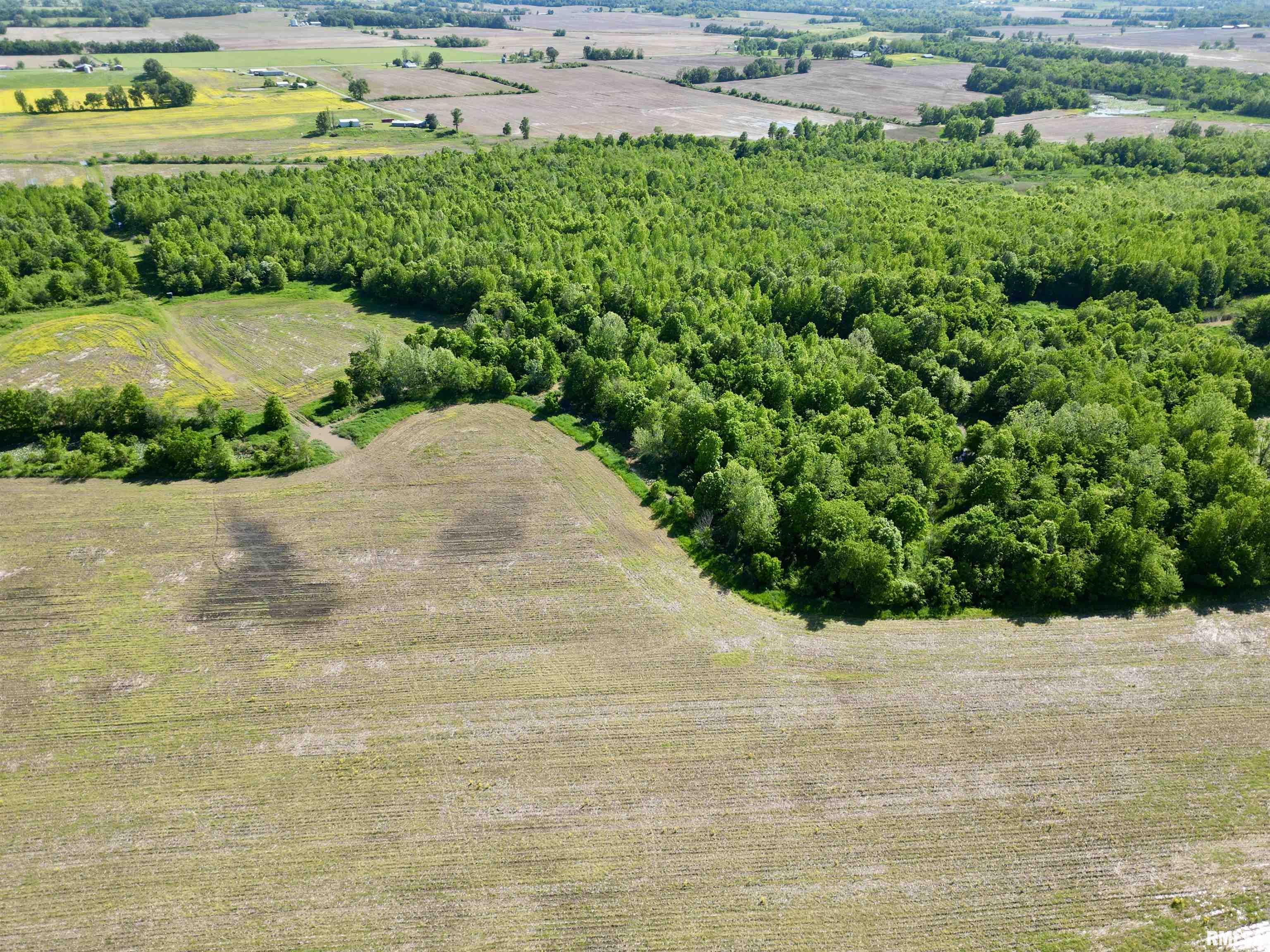 0 Netty Green Road Galatia, IL 62935 - Photo 6 of 23