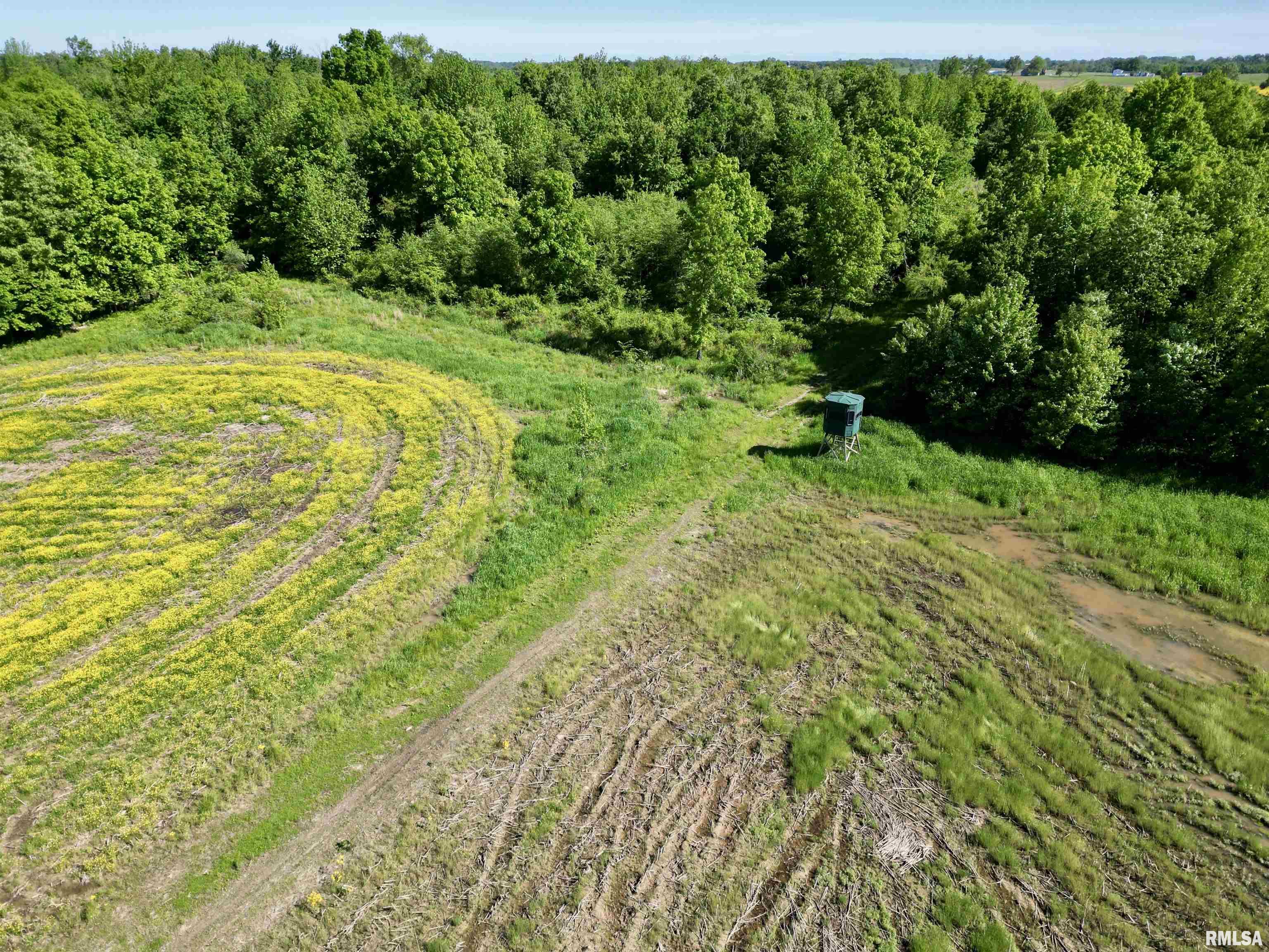 0 Netty Green Road Galatia, IL 62935 - Photo 7 of 23