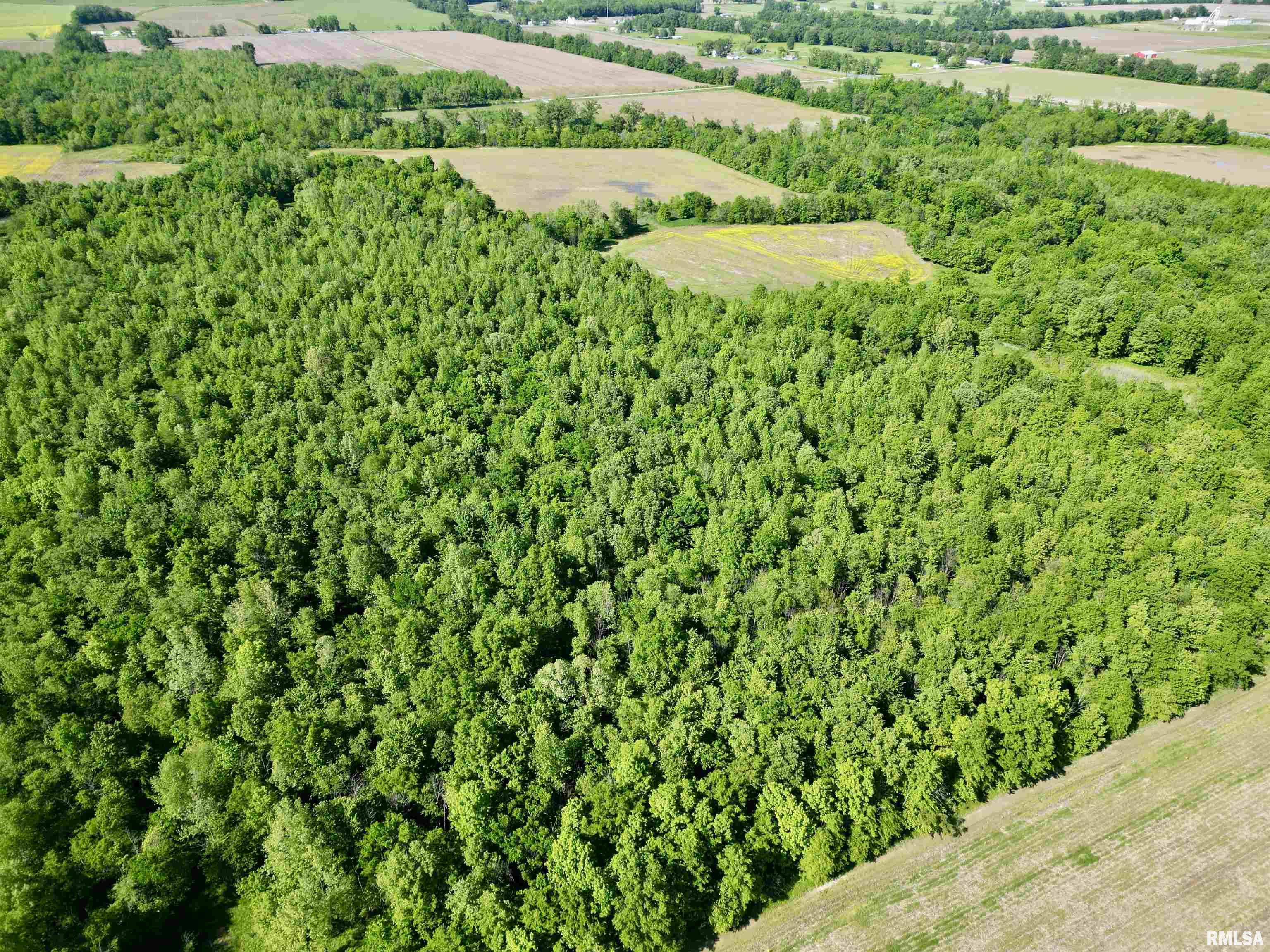0 Netty Green Road Galatia, IL 62935 - Photo 8 of 23