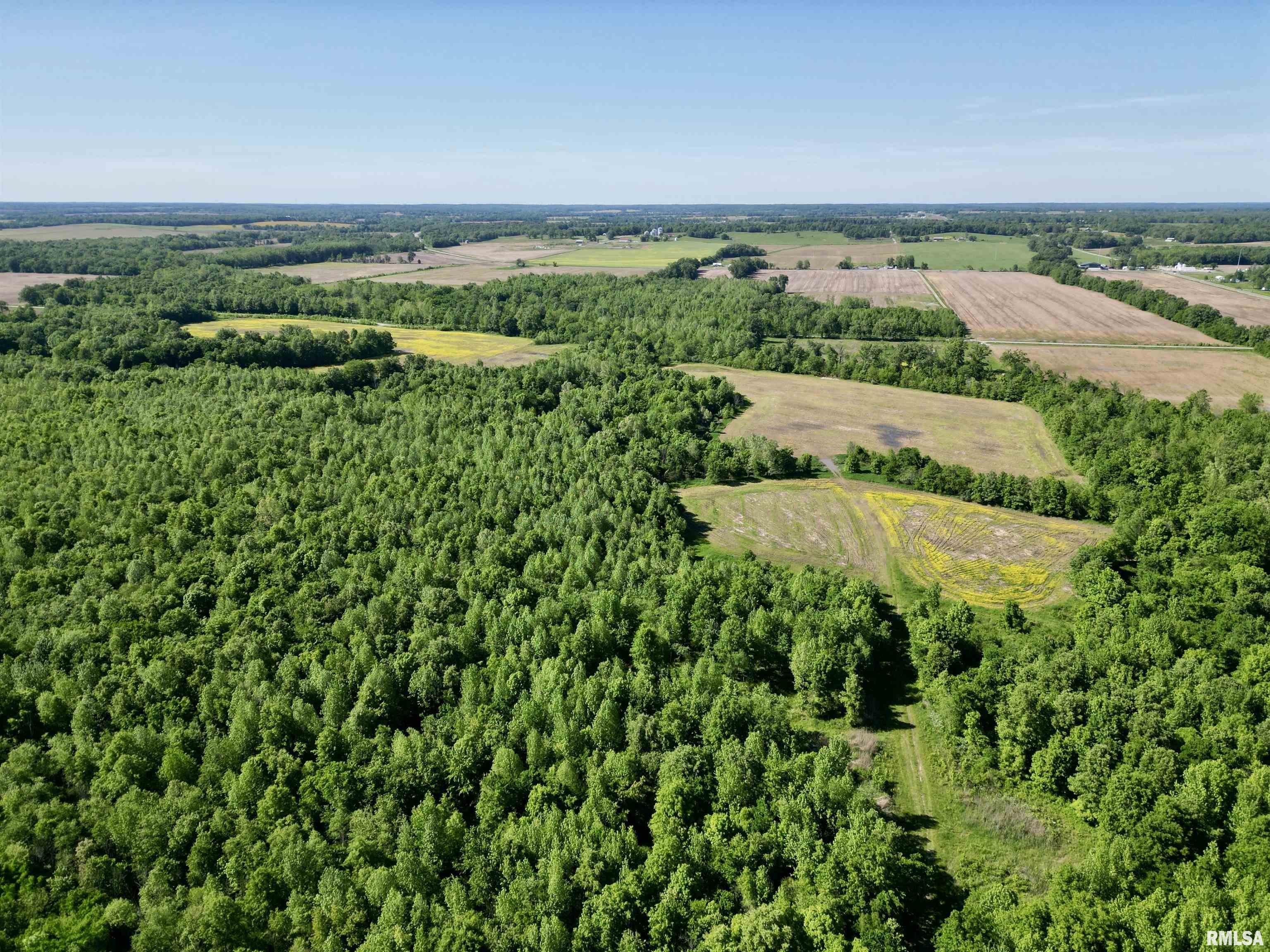 0 Netty Green Road Galatia, IL 62935 - Photo 10 of 23