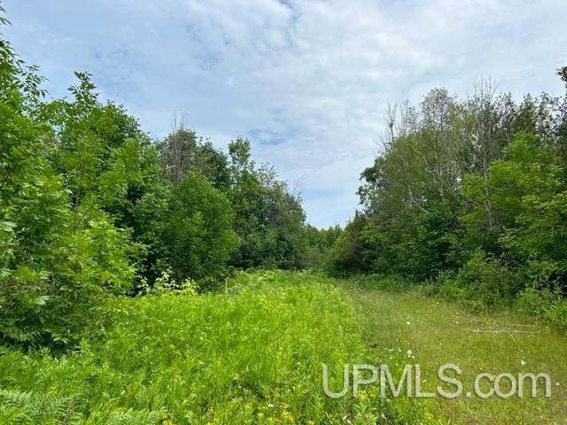 21569 Coal Dock Road Hancock, MI 49930 - Photo 9 of 31 Gallery Image 9