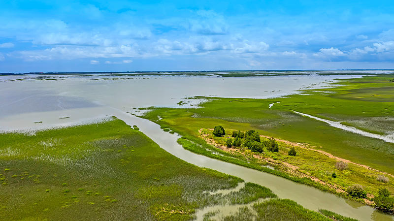 3606 Conch Street Mount Pleasant, SC 29466 - Photo 59 of 69 DJI_0793-copy
