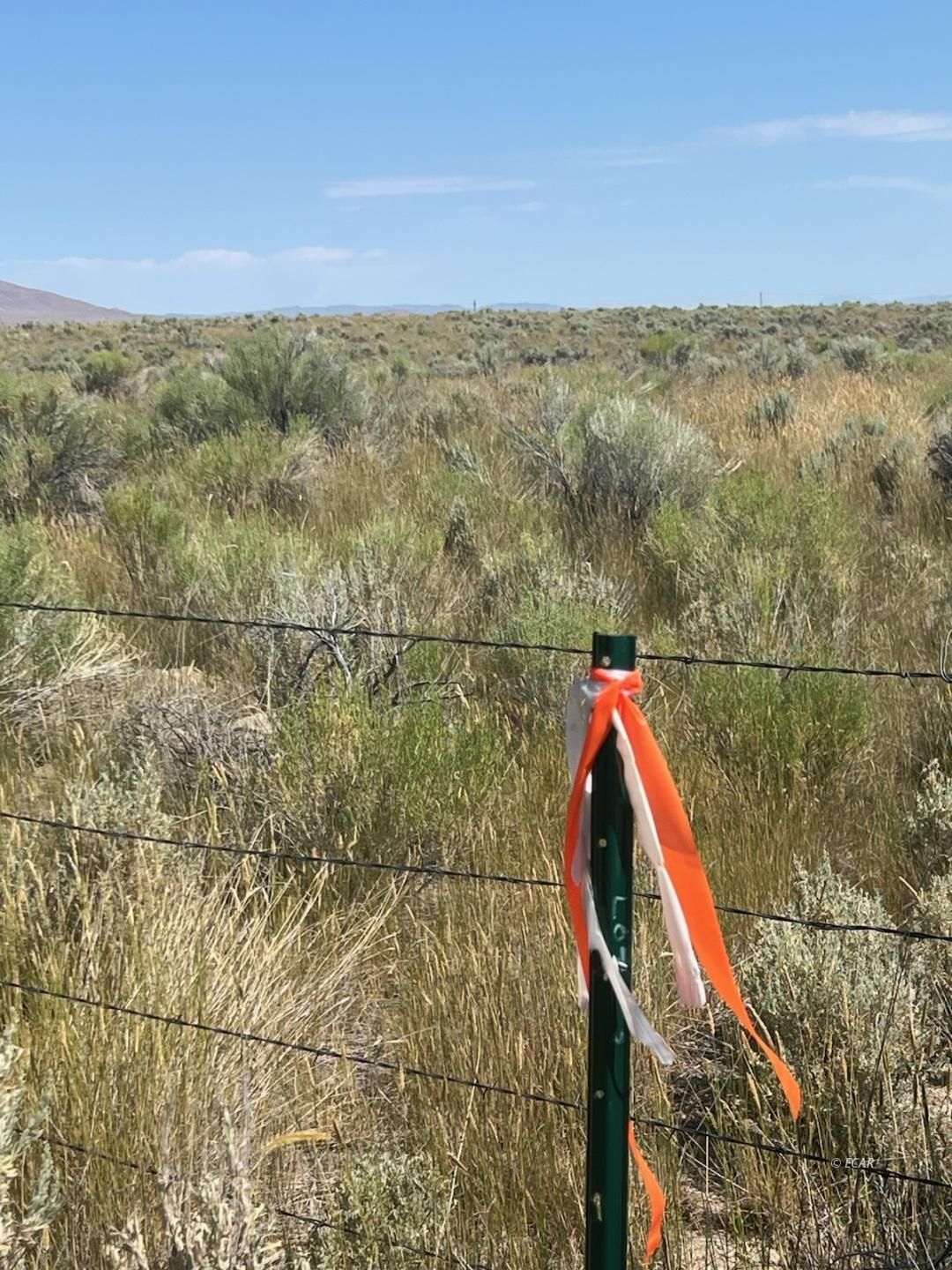 12 Hog Tommy Road Lamoille, NV 89828 - Photo 2 of 8